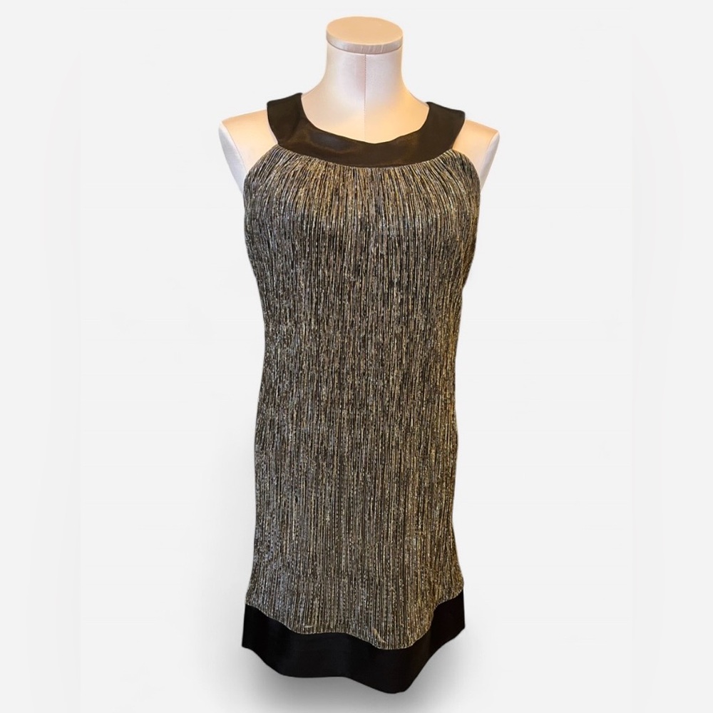 Enfocus Studio Metallic Y2K Sleeveless Dress Size 4P